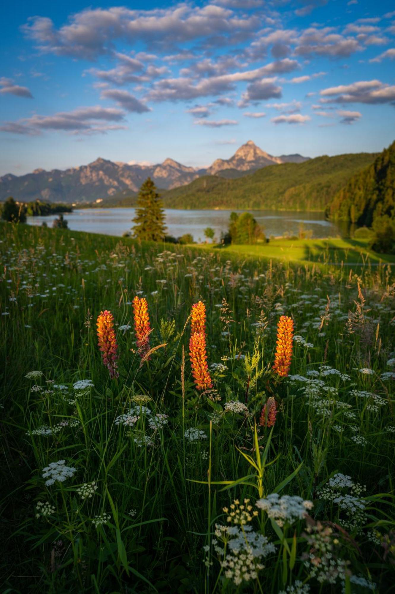 Hartungs Hoteldorf Фюссен Екстер'єр фото